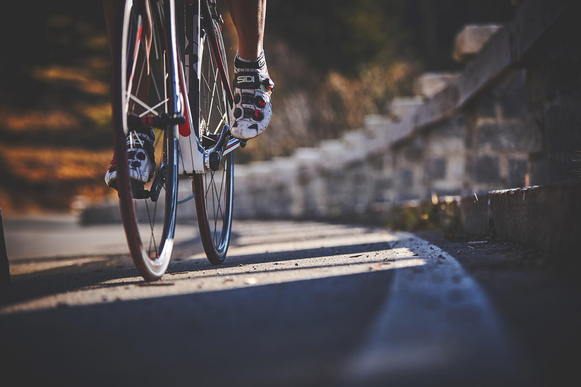 Bike Base 3